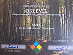 GC2012 GC2012