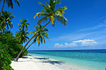 my dream my dream