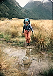 Greenstone track, Új Zeland Greenstone track, Új Zeland