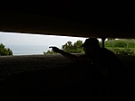 Atlanti fal bunker, Normandia, Franciaország Atlanti fal bunker, Normandia, Franciaország