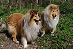 Vándor & Vackor Vándor & Vackor