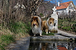 Vándor & Vackor Vándor & Vackor