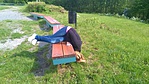 Hol lehet? (vagy kannás bor? :-)) Hol lehet? (vagy kannás bor? :-))