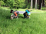 Lugosnál Lugosnál