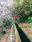 Levada túrán (Madeira, 2017) Levada túrán (Madeira, 2017)