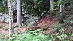 Szintén Erdély {Felfelé folyó patak} Szintén Erdély {Felfelé folyó patak}