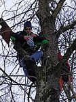 gchusv logolás 2019.01.28. (foto:fercsipeter) gchusv logolás 2019.01.28. (foto:fercsipeter)