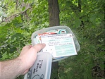 A doboz elrejtése, a geolutin travel bug nem sokáig vendégeskedett benne... A doboz elrejtése, a geolutin travel bug nem sokáig vendégeskedett benne...