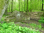 Torhai-forrás Torhai-forrás