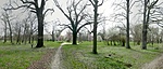 Park részlet Park részlet