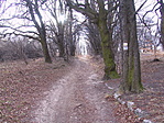 Innen (is) jöhetsz Innen (is) jöhetsz