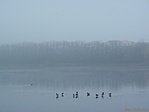 Récepihenő - Keszüi-tó