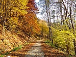 Őszi (Mikulás) Őszi (Mikulás)