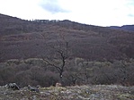 Az első kilátás Az első kilátás