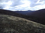 Panoráma a sárga közeléből Panoráma a sárga közeléből