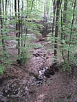 Vadregényes Vadregényes