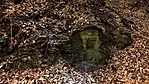 A Ferencz-forrás A Ferencz-forrás