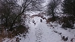 ...ma vizsla rohan le a pályán ...ma vizsla rohan le a pályán
