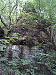 Solymári-fal alulról... Solymári-fal alulról...