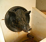 Csurgó (Disznófő-forrás) Csurgó (Disznófő-forrás)