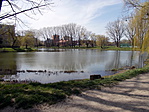 524.állomás: Sopron, Ibolya-tó 524.állomás: Sopron, Ibolya-tó