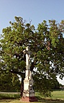 Csatár-hegy, Veszprém Csatár-hegy, Veszprém