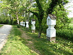 268. állomás: Szentbékkálla 268. állomás: Szentbékkálla