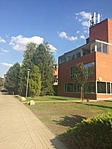 Az A épület melletti bokrok-1 Az A épület melletti bokrok-1