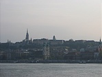 Terepszemle a Duna parton