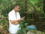 Logbook olvasása, egy jellegzetes geonövény társaságában :-)