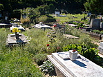 temető2
