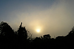 Napos idő fent, köd lent, és ami félúton látszik.
