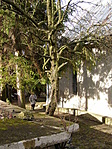 A református templom kertjében
