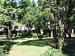 Zadari park