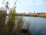 A tó 2.