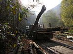 fakitermelés a Solymos völgyben :(