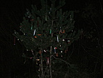 Hárskúti karácsonyfa