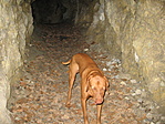 a barlangban