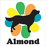 Team Almond
