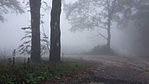 Ködös idő volt a Pilisben