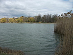 tó