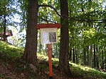 kislevelű hárs kislevelű hárs