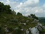 Visszanézőben Visszanézőben