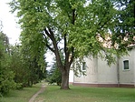 Szép a kert Szép a kert