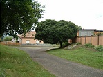 Terebélyes lombozat Terebélyes lombozat
