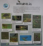 A tábla hátoldala A tábla hátoldala