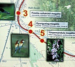 Térképrészlet Térképrészlet