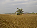 A helyet örző facsoport A helyet örző facsoport