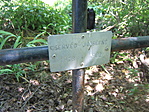 Talán az utolsó... Talán az utolsó...