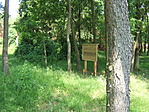 Erdei pihenő Erdei pihenő